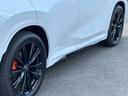 ＮＸ３５０ｈ　Ｆスポーツ　ＴＲＤエアロ　パノラマルーフ　オレンジキャリパー　１４インチＤＡナビ　アドバンストパーク　ヘーゼルレザーシート　パノラミックビューモニター　ブラインドスポットモニター　寒冷地　ヘッドアップディスプレイ（22枚目）
