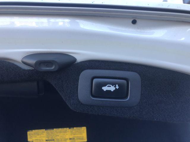 LS LS460 バージョンS Iパッケージ サンルーフ・革シート・ナビ・バックカメラ・地デジ(44枚目)