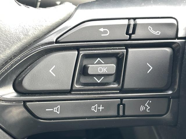 シエンタ ハイブリッドZ ETC バックカメラ ナビ TV クリアランスソナー オートクルーズコントロール レーンアシスト 衝突被害軽減システム 両側電動スライドドア オートマチックハイビーム オートライト LEDヘッドランプ(39枚目)