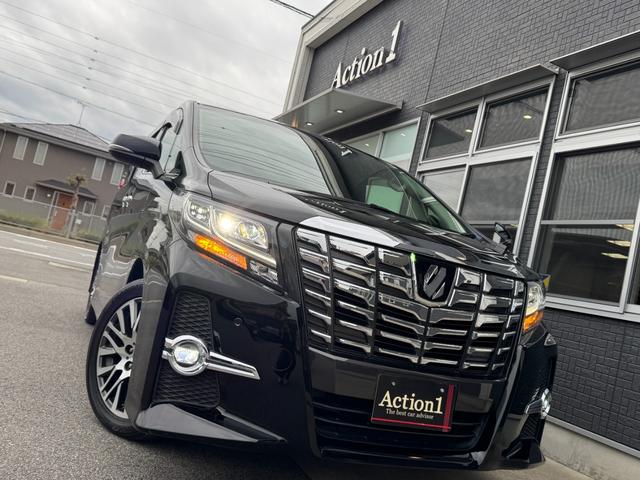 アルファード 2.5S Cパッケージ ETC バックカメラ ナビ TV クリアランスソナー オートクルーズコントロール 両側電動スライドドア オートライト LEDヘッドランプ 電動リアゲート スマートキー 電動格納ミラー 3列シート(22枚目)