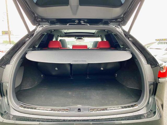 ＲＸ ＲＸ３５０　Ｆスポーツ　４ＷＤ　エアロダイナミクスパッケージ　ＦＳＲエアロ　ミラーウイングマフラー　フィニッシュブレードイルミネーション　メーカーフルセグナビ　パノラマガラスルーフ　デジタルインナーミラー　クルコン　レザー（19枚目）