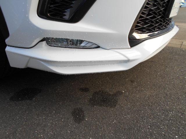 NX300 Fスポーツ サンルーフ 4WD フルセグ メモリーナビ 衝突被害軽減システム DVD再生 バックカメラ 革シート ETC フルエアロ LEDヘッドランプ ワンオーナー アイドリングストップ 記録簿 スマートキー(19枚目)