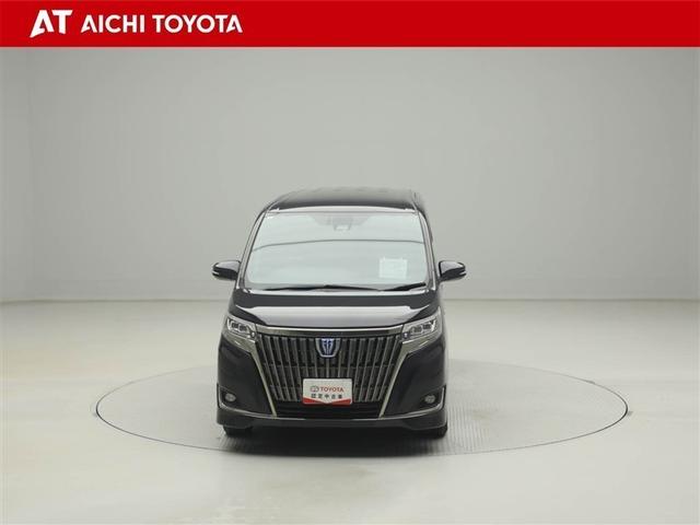 エスクァイア ハイブリッドGi プレミアムパッケージ 地上デジタル 衝突被害軽減 LEDライト 1オナ Bカメラ クルコン スマートキー メモリナビ ナビ&TV キーレス 盗難防止装置 DVD再生 ABS 3列シート ETC アルミ オートエアコン(9枚目)