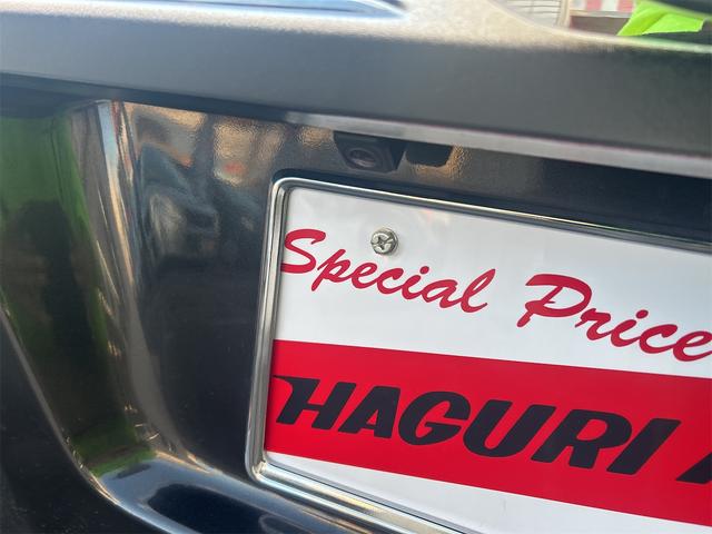 ルーミー Ｇ　ワンオーナー　ドライブレコーダー　ＥＴＣ　バックカメラ　ナビ　ＴＶ　両側電動スライドドア　クリアランスソナー　オートクルーズコントロール　衝突被害軽減システム　オートマチックハイビーム　オートライト（29枚目）