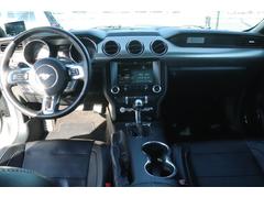 ͤΥ饤եץ˹ä֤ơݡפޤ 2