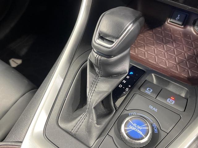 ＲＡＶ４ ハイブリッドＧ　禁煙車　４ＷＤ　純正９インチナビ　全周囲カメラ　衝突被害軽減システム　レーダークルーズ　電動リアゲート　レザー調シート　パワーシート　コーナーセンサー　ＬＥＤヘッド　ルーフレール　ビルトインＥＴＣ（53枚目）