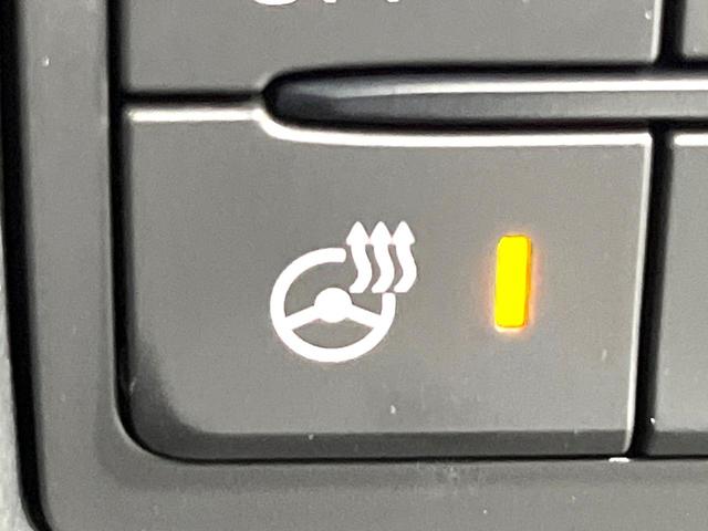 ＣＸ－８ ＸＤプロアクティブ　ディーゼル（軽油）　７人乗り　全周囲カメラ　衝突被害軽減システム　レーダークルーズ　禁煙車　電動リアゲート　パワーシート　コーナーセンサー　スマートキー　ＬＥＤヘッド　ビルトインＥＴＣ（58枚目）