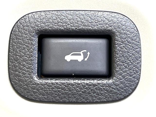 エクストレイル ２０Ｘｔ　エマージェンシーブレーキパッケージ　禁煙車　メーカーナビ　全周囲カメラ　電動リアゲート　シートヒーター　コーナーセンサー　ＬＥＤヘッドライト　ルーフレール　ビルトインＥＴＣ　クルーズコントロール　純正１７インチアルミホイール（7枚目）