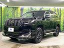 ＴＸ　Ｌパッケージ　マットブラックエディション　禁煙車　４ＷＤ　７人乗り　サンルーフ　モデリスタフルエアロ　ＢＩＧ－Ｘ１１インチナビ　バックカメラ　衝突被害軽減システム　レークル　黒革　前席シートエアコン　コーナーセンサー　ＬＥＤヘッド（25枚目）