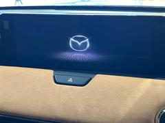 ڣޥĥͥȡۼʷϵ˥ޥå緿ǥץ쥤ޥ³ǤΥʥӻѤ£͡ʵǽڤޤľŪʥǽǡȤɹǤ 3