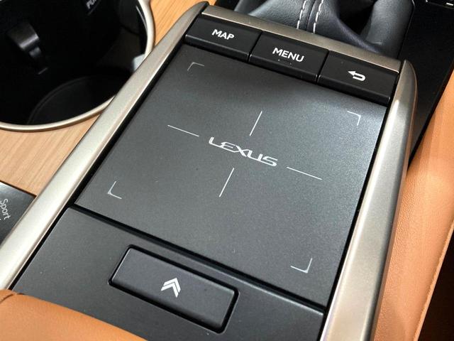 ＲＸ ＲＸ４５０ｈ　バージョンＬ　サンルーフ　純正１２．３型ナビ　全周囲カメラ　衝突被害軽減システム　レーダークルーズ　禁煙車　電動リアゲート　レザーシート　全席シートヒーター　前席シートエアコン　パワーシート　コーナーセンサー（57枚目）