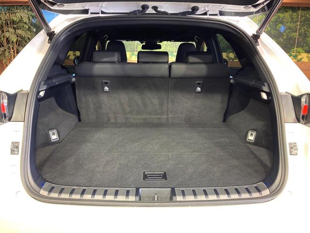 NX NX300 スパイス&シック サンルーフ 純正10型ナビ サイドカメラ バックカメラ 衝突被害軽減システム 100V電源 レーダークルーズ 禁煙車 電動リアゲート レザーシート 前席シートエアコン コーナーセンサー スマートキー(10枚目)