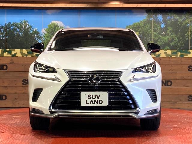 NX NX300 スパイス&シック サンルーフ 純正10型ナビ サイドカメラ バックカメラ 衝突被害軽減システム 100V電源 レーダークルーズ 禁煙車 電動リアゲート レザーシート 前席シートエアコン コーナーセンサー スマートキー(14枚目)