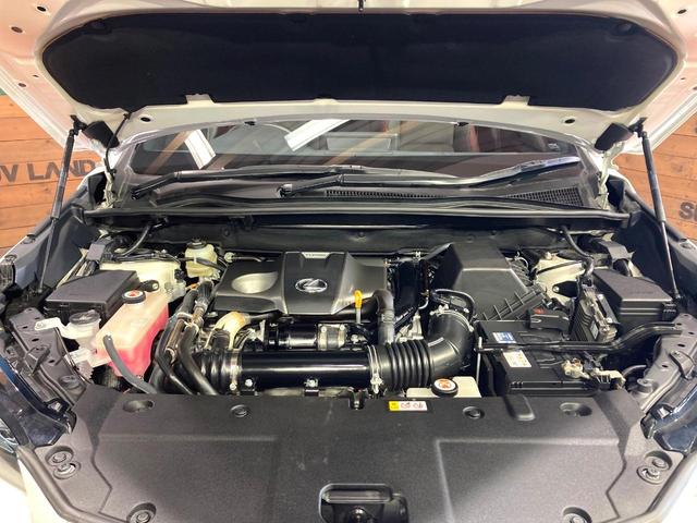 NX NX300 スパイス&シック サンルーフ 純正10型ナビ サイドカメラ バックカメラ 衝突被害軽減システム 100V電源 レーダークルーズ 禁煙車 電動リアゲート レザーシート 前席シートエアコン コーナーセンサー スマートキー(18枚目)