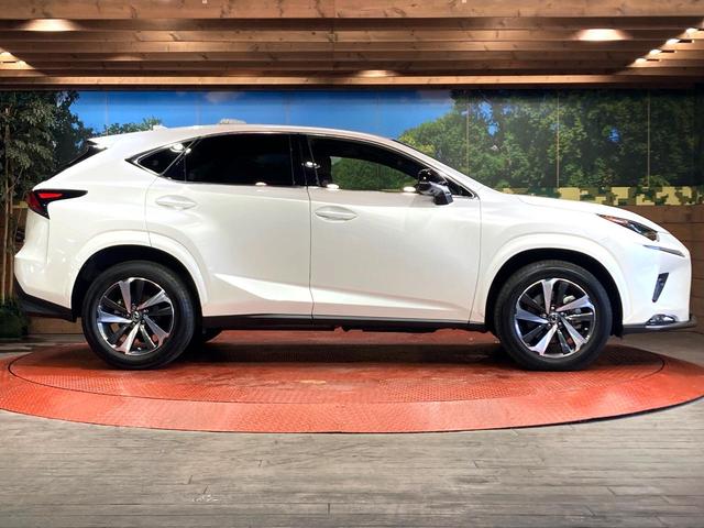 NX NX300 スパイス&シック サンルーフ 純正10型ナビ サイドカメラ バックカメラ 衝突被害軽減システム 100V電源 レーダークルーズ 禁煙車 電動リアゲート レザーシート 前席シートエアコン コーナーセンサー スマートキー(28枚目)