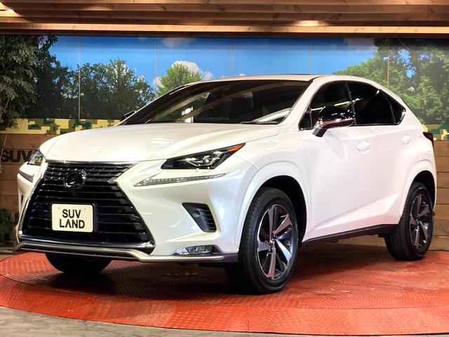 NX NX300 スパイス&シック サンルーフ 純正10型ナビ サイドカメラ バックカメラ 衝突被害軽減システム 100V電源 レーダークルーズ 禁煙車 電動リアゲート レザーシート 前席シートエアコン コーナーセンサー スマートキー(31枚目)