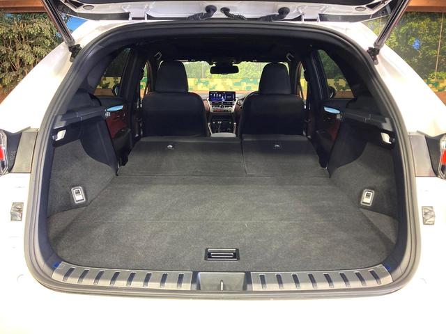 NX NX300 スパイス&シック サンルーフ 純正10型ナビ サイドカメラ バックカメラ 衝突被害軽減システム 100V電源 レーダークルーズ 禁煙車 電動リアゲート レザーシート 前席シートエアコン コーナーセンサー スマートキー(42枚目)