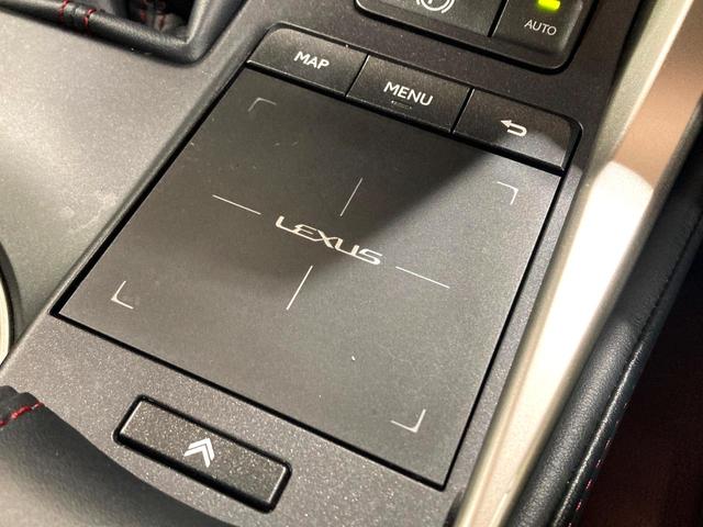 NX NX300 スパイス&シック サンルーフ 純正10型ナビ サイドカメラ バックカメラ 衝突被害軽減システム 100V電源 レーダークルーズ 禁煙車 電動リアゲート レザーシート 前席シートエアコン コーナーセンサー スマートキー(55枚目)