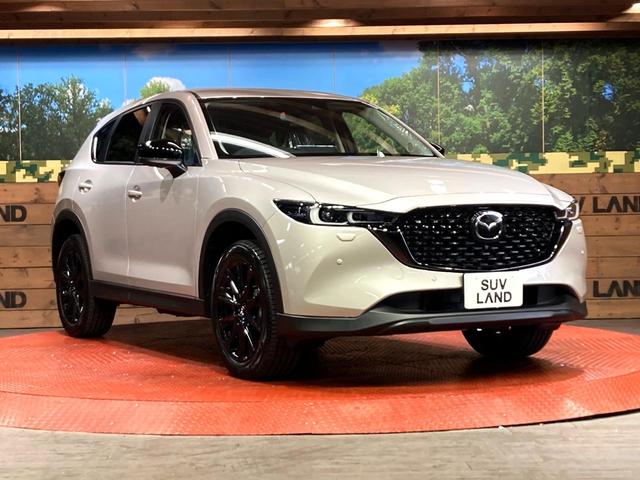 ＣＸ－５ ２０Ｓ　ブラックトーンエディション　全周囲カメラ　衝突被害軽減システム　レーダークルーズ　禁煙車　電動リアゲート　レザーシート　パワーシート　コーナーセンサー　スマートキー　ＬＥＤヘッド　車線逸脱警報　デュアルエアコン（16枚目）