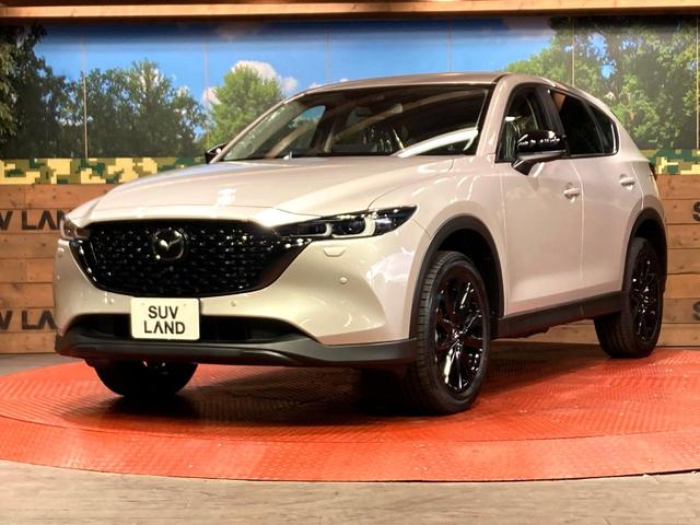 ＣＸ－５ ２０Ｓ　ブラックトーンエディション　全周囲カメラ　衝突被害軽減システム　レーダークルーズ　禁煙車　電動リアゲート　レザーシート　パワーシート　コーナーセンサー　スマートキー　ＬＥＤヘッド　車線逸脱警報　デュアルエアコン（26枚目）
