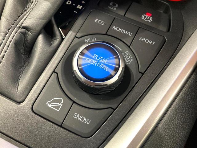 ＲＡＶ４ アドベンチャー　オフロードパッケージＩＩ　登録済未使用車　バックカメラ　セーフティセンス　レーダークルーズ　純正１０．５型ナビ　合皮シート　前席シートエアコン　パワーシート　コーナーセンサー　ＬＥＤヘッド　ルーフレール　ＥＴＣ２．０（52枚目）