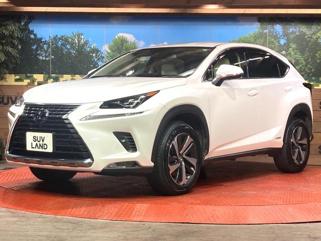 ＮＸ ＮＸ３００ｈ　Ｉパッケージ　バックカメラ　衝突被害軽減システム　レーダークルーズ　禁煙車　電動リアゲート　レザーシート　ドラレコ　コーナーセンサー　スマートキー　ＬＥＤヘッド　ＥＴＣ２．０　オートハイビーム　車線逸脱警報（32枚目）