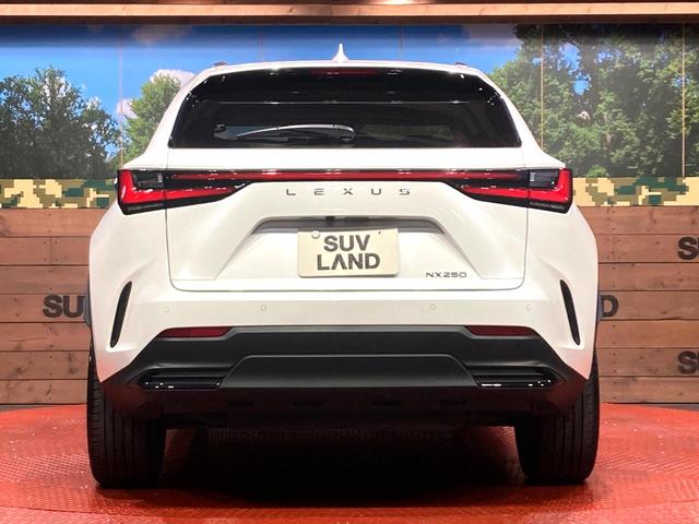 NX NX250 バージョンL サンルーフ 純正SDナビ 全周囲カメラ 衝突被害軽減システム レーダークルーズ 禁煙車 電動リアゲート レザーシート 全席シートヒーター 前席シートエアコン ドラレコ コーナーセンサー スマートキー(15枚目)