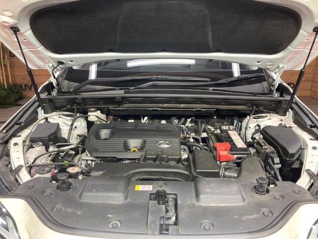 NX NX250 バージョンL サンルーフ 純正SDナビ 全周囲カメラ 衝突被害軽減システム レーダークルーズ 禁煙車 電動リアゲート レザーシート 全席シートヒーター 前席シートエアコン ドラレコ コーナーセンサー スマートキー(18枚目)