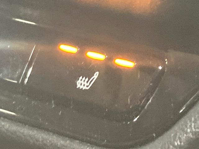 NX NX250 バージョンL サンルーフ 純正SDナビ 全周囲カメラ 衝突被害軽減システム レーダークルーズ 禁煙車 電動リアゲート レザーシート 全席シートヒーター 前席シートエアコン ドラレコ コーナーセンサー スマートキー(24枚目)