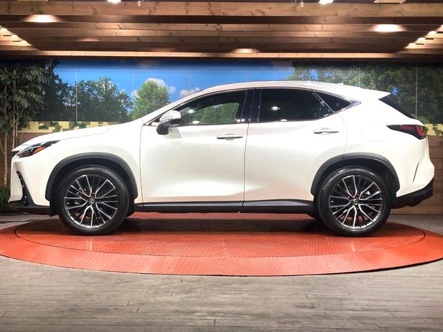 NX NX250 バージョンL サンルーフ 純正SDナビ 全周囲カメラ 衝突被害軽減システム レーダークルーズ 禁煙車 電動リアゲート レザーシート 全席シートヒーター 前席シートエアコン ドラレコ コーナーセンサー スマートキー(33枚目)