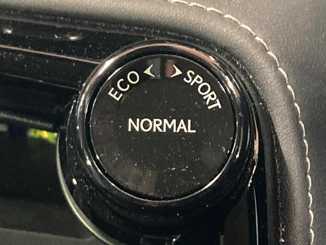 NX NX250 バージョンL サンルーフ 純正SDナビ 全周囲カメラ 衝突被害軽減システム レーダークルーズ 禁煙車 電動リアゲート レザーシート 全席シートヒーター 前席シートエアコン ドラレコ コーナーセンサー スマートキー(54枚目)