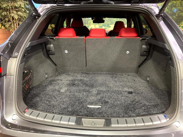 NX NX350h Fスポーツ サンルーフ 純正14型ナビ 全周囲カメラ レーダークルーズ パワーバックドア シートベンチレーション ドラレコ ETC デジタルインナーミラー スマートキー LEDヘッド ルーフレール(55枚目)