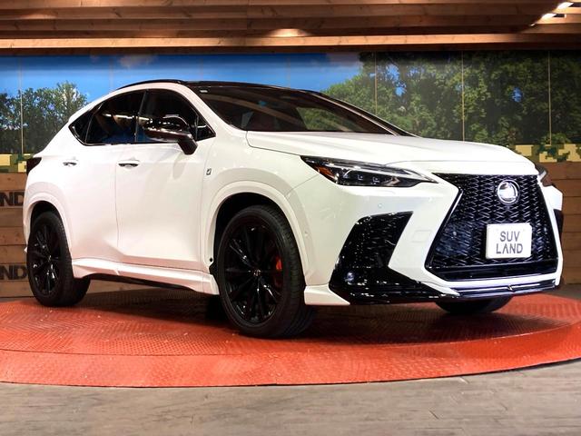 NX NX350h Fスポーツ サンルーフ 純正フルエアロ 14.4インチ純正ディスプレイオーディオ 全周囲カメラ レーダークルーズ 禁煙車 ドライブレコーダー 電動リアゲート 赤革レザーシート 前席シートベンチレーション(16枚目)