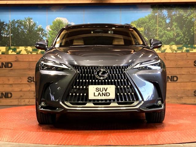 ＮＸ ＮＸ３５０ｈ　バージョンＬ　サンルーフ　純正ＳＤナビ　全周囲カメラ　衝突被害軽減システム　１００Ｖ電源　レーダークルーズ　禁煙車　電動リアゲート　レザーシート　全席シートヒーター　前席シートエアコン　ドライブレコーダー（14枚目）