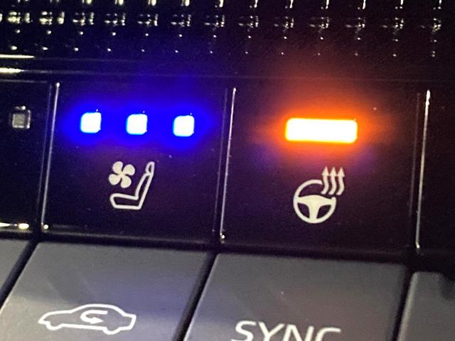 ランドクルーザー250 ZX 7人乗り サンルーフ 全周囲カメラ 衝突被害軽減システム レーダークルーズ 禁煙車 レザーシート 前席シートエアコン コーナーセンサー スマートキー LEDヘッド ルーフレール ETC2.0(58枚目)