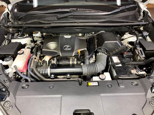 親切・丁寧な専門メカニックスタッフが応対！・車検・点検整備・事故等の修理などアフターサービスも安心。お車のカスタマイズもネクステージのサービススタッフまでご相談ください！