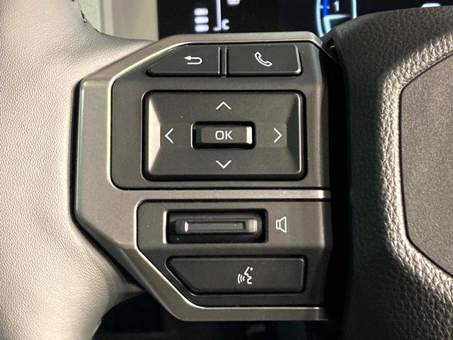 ランドクルーザー250 VX サンルーフ 純正12型ディスプレイオーディオ 全周囲カメラ レーダークルーズコントロール シートベンチレーション パワーシート デジタルインナーミラー ETC Bluetooth パワーバックドア(44枚目)