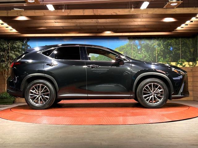 NX NX250 純正14型ナビ 全周囲カメラ 衝突軽減装置 ヘッドアップディスプレイ レーダークルーズコントロール パワーバックドア シートヒーター シートエアコン ステアリングヒーター パワーシート ドラレコ(28枚目)