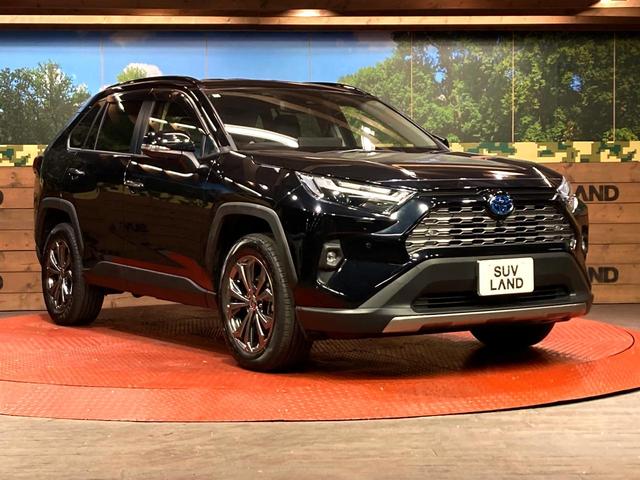 ＲＡＶ４ ハイブリッドＧ　１０．５インチディスプレイオーディオ　パノラミックビューモニター　デジタルインナーミラー　レーダークルーズコントロール　プリクラッシュセーフティ　電動リアゲート　クリアランスソナー　ＥＴＣ（16枚目）