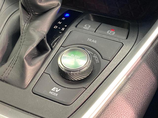 ＲＡＶ４ ハイブリッドＧ　１０．５インチディスプレイオーディオ　パノラミックビューモニター　デジタルインナーミラー　レーダークルーズコントロール　プリクラッシュセーフティ　電動リアゲート　クリアランスソナー　ＥＴＣ（52枚目）