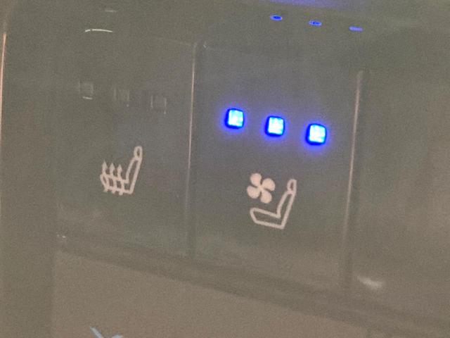 ランドクルーザー250 ZX 7人乗り サンルーフ 純正12.3インチディスプレイオーディオ 全周囲カメラ JBLサウンド 100V電源 衝突被害軽減システム レーダークルーズ 禁煙車 電動リアゲート 全席シートヒーター(26枚目)