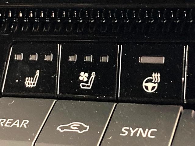 ランドクルーザー２５０ ＺＸ　サンルーフ　純正１２型ディスプレイオーディオ　全周囲カメラ　ＪＢＬサウンド　衝突被害軽減システム　レーダークルーズ　電動リアゲート　レザーシート　コーナーセンサー　ＬＥＤヘッド（6枚目）