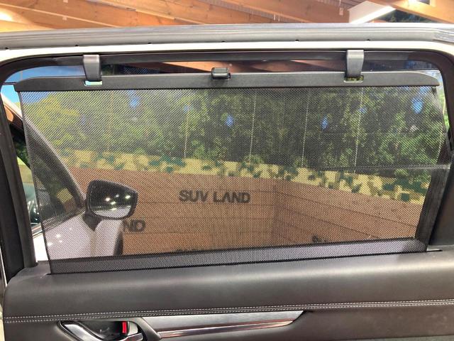 ＣＸ－８ ＸＤプロアクティブ　７人乗り　純正８インチナビ　全周囲カメラ　アダプティプクルーズ　ＥＴＣ　Ｂｌｕｅｔｏｏｔｈ再生　シートヒーター　パワーバックドア　ＬＥＤヘッドライト　クリアランスソナー　パワーシート（34枚目）