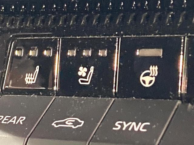 ランドクルーザー250 VX サンルーフ 12.3インチディスプレイオーディオ 衝突被害軽減システム レーダークルーズ 禁煙車 電動リアゲート レザーシート 前席シートエアコン パワーシート ドラレコ コーナーセンサー(33枚目)