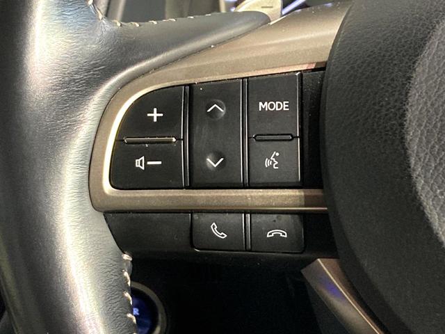 RX RX450h バージョンL サンルーフ マークレビンソン 純正12.3型純正ナビ パノラマミックビューモニター 衝突軽減装置 レーダークルーズコントロール パワーバックドア 本革シート シートベンチレーション ETC(49枚目)