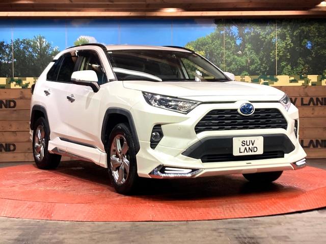 ＲＡＶ４ ハイブリッドＸ　モデリスタエアロ　９型ＳＤナビ　バックカメラ　衝突被害軽減システム　レーダークルーズ　ドラレコ　コーナーセンサー　スマートキー　ＬＥＤヘッド　ルーフレール　ビルトインＥＴＣ　純正１８インチアルミ（16枚目）
