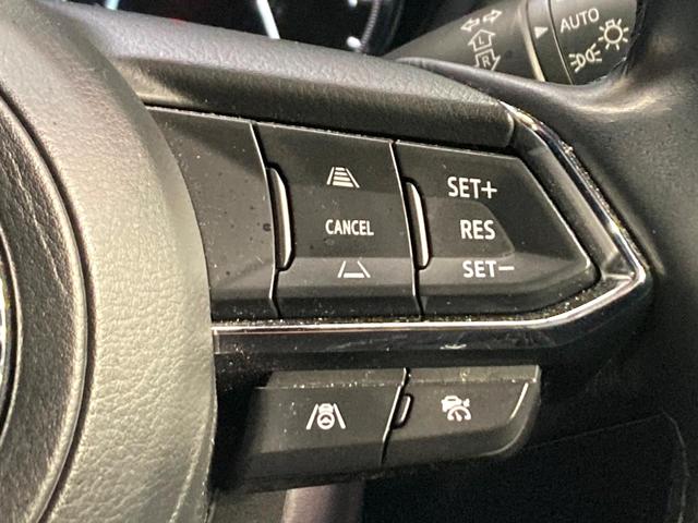 �y�}�c�_�E���[�_�[�N���[�Y�R���g���[���z�������H�ł̒��������s���y�ɁI�����ő��x��ۂN���[�Y�R���g���[�����A�Փˌy���V�X�e���ƘA�g���A�O���̎ԗ������m���ĎԊԂ�ۂ悤�ɑ��x���߂��Ă���܂��I�I