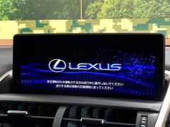 ڣ磻ɥʥӡ۹鴶ȥѥȤΤ緿磻ɥʥӤƼ索ǥϤ󡢲Ĺ磻ɲ̤ǤΥޥåףʬɽʤɡ⤤ʥӤǤ 4