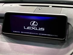 ڣ磻ɥʥӡ۹鴶ȥѥȤΤ緿磻ɥʥӤƼ索ǥϤ󡢲Ĺ磻ɲ̤ǤΥޥåףʬɽʤɡ⤤ʥӤǤ 3