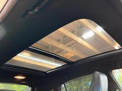 ϥꥢ ץߥࡡ롼աե륨ӣĥʥӡХå 0207491A20251203Q002 3